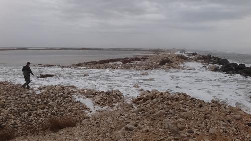 Photo Cramer et al 2018, Nature Climate Change