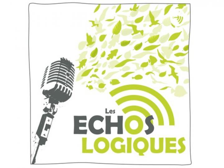 Les Echos-Logiques